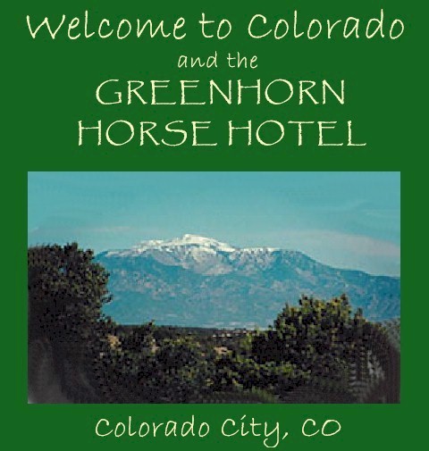 Welcome to the Greenhorn Horse Hotel! 