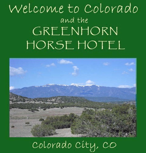 Welcome to the Greenhorn Horse Hotel! 